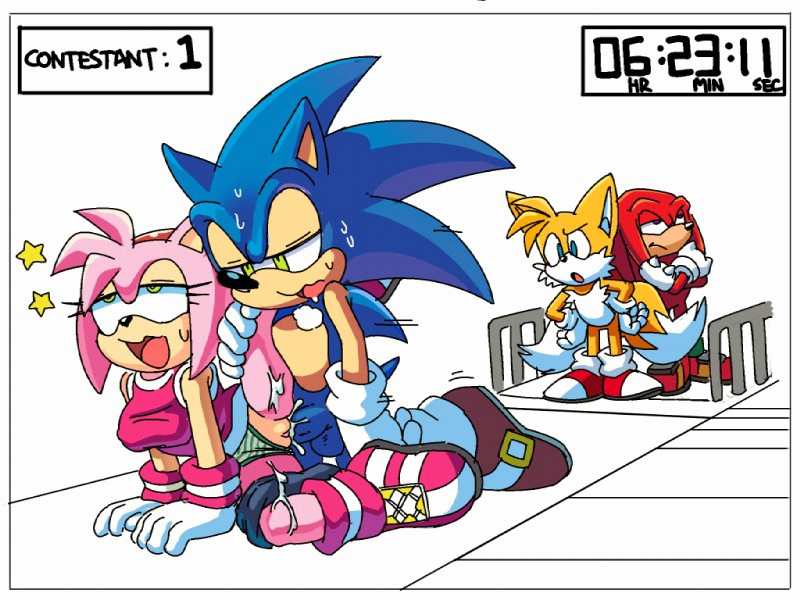 Rule 34 Amy Rose Clothing Furry Penetration Pink Fur Pink Hair Sonic